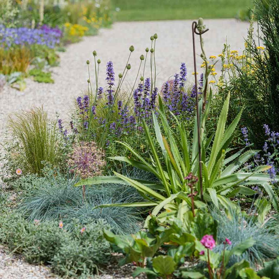 With careful plant choice it is possible to produce beautiful gardens even on dry soils