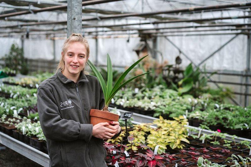 Apprentice at work in Harlow Carr