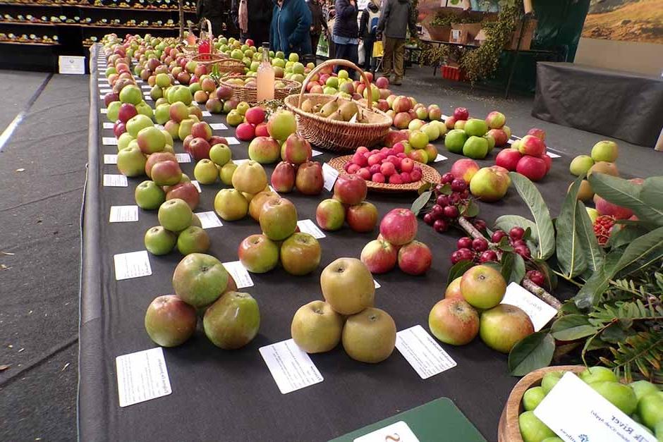 Apples in the Orchard and Hopyard Pavillion