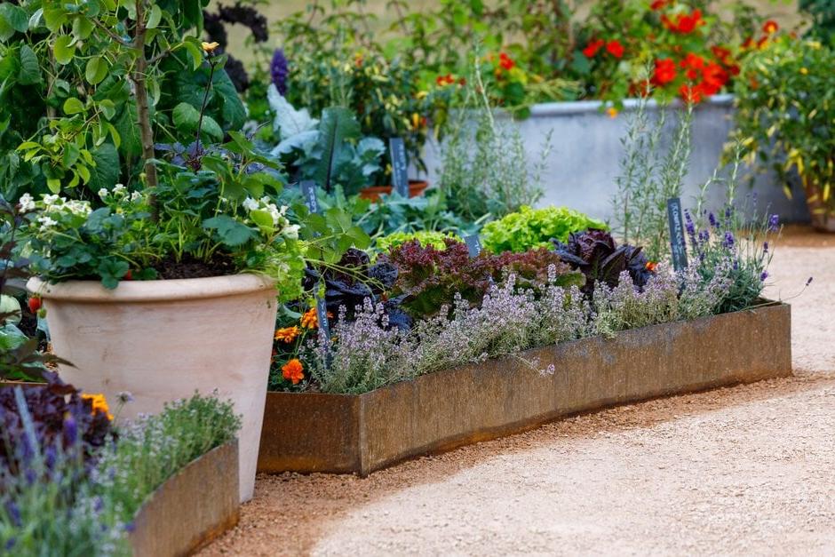 Edible and ornamental planting at the River Cottage Market Garden