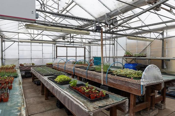 The garden’s nursery production area consists of nine polytunnels where an extensive variety of soft fruits and vegetables are grown from seed