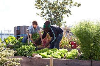 allotment