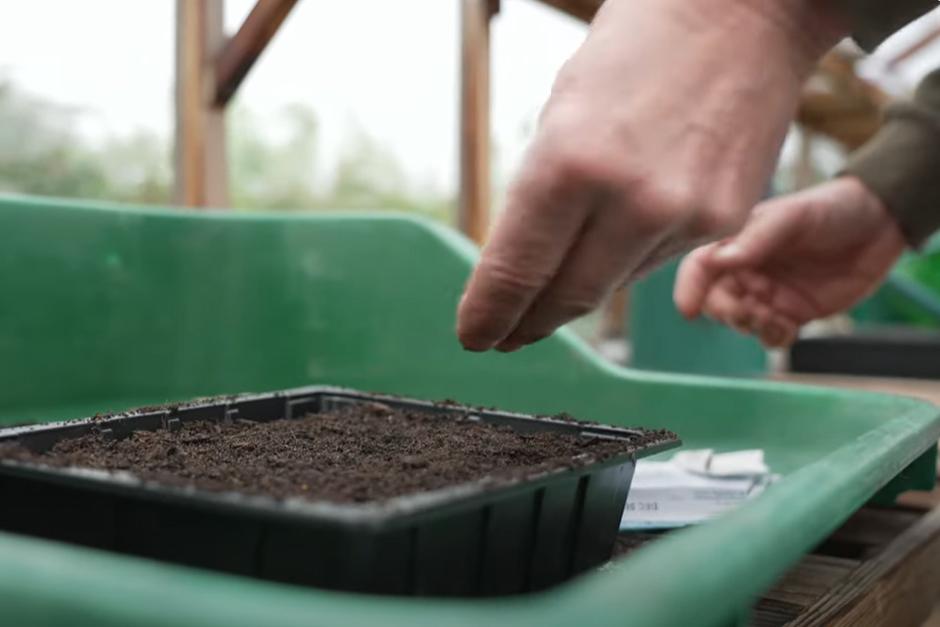 How to sow seeds