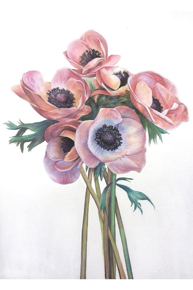 Anemone artwork