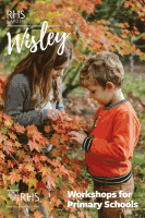 Wisley Primary School workshops brochure