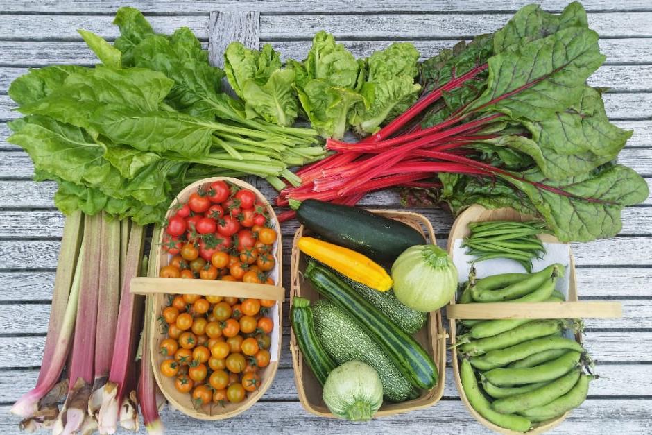 A July harvest of vegetables, salads and rhubarb