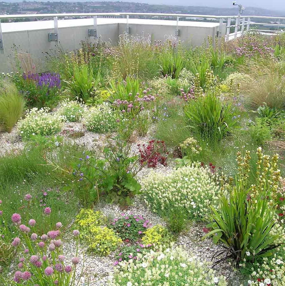 Roof gardens and balconies