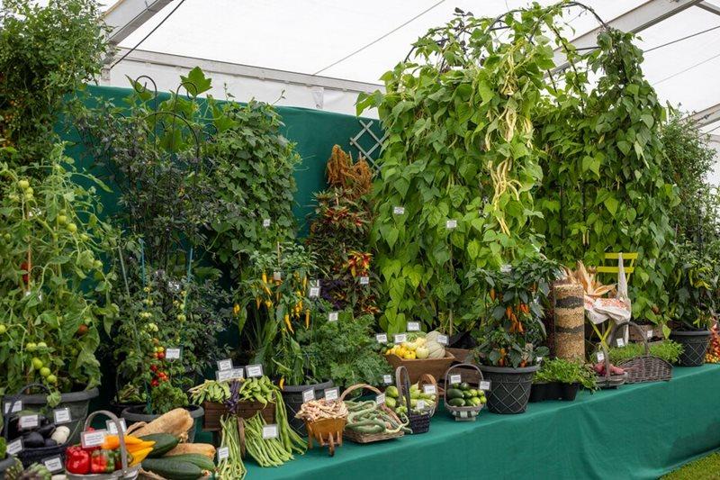 Close up of Robinson Seeds & Plants display