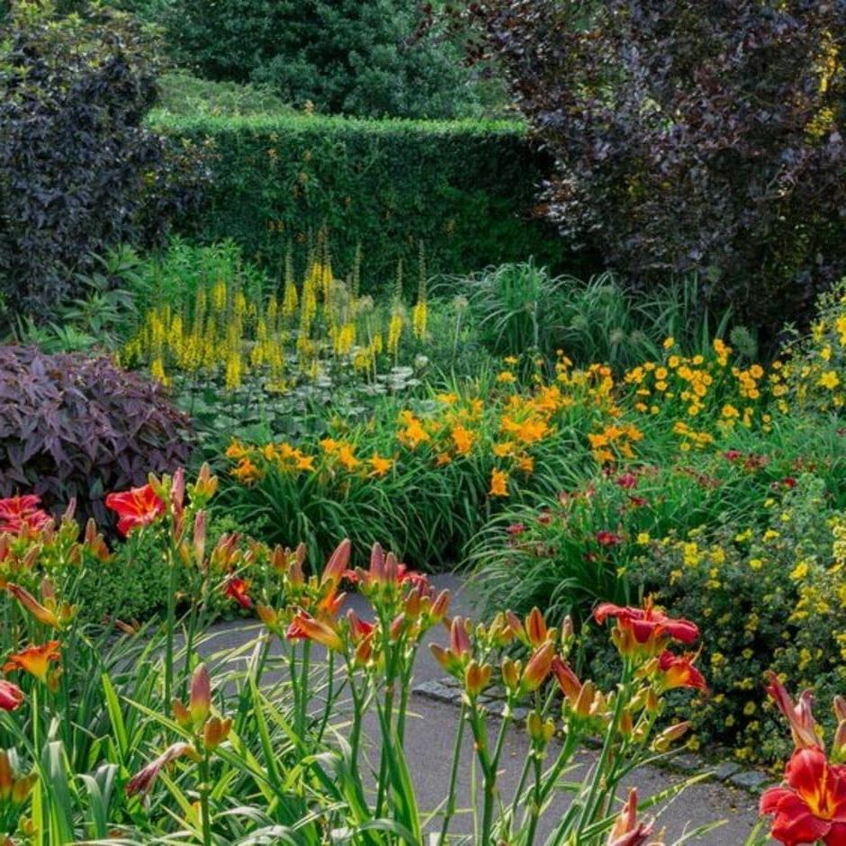 Hot-coloured foliage and flowers create vibrancy