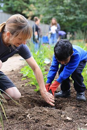 Children: getting them interested in gardening