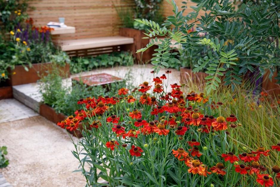 Lunch Break Garden at RHS Hampton Court 2022