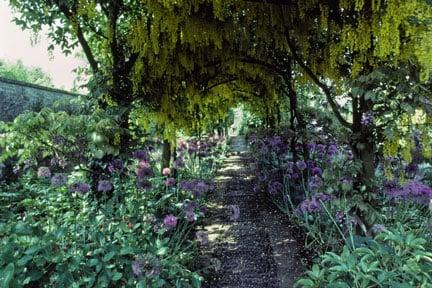 Shady walkway at Barnsley House, Gloucestershire