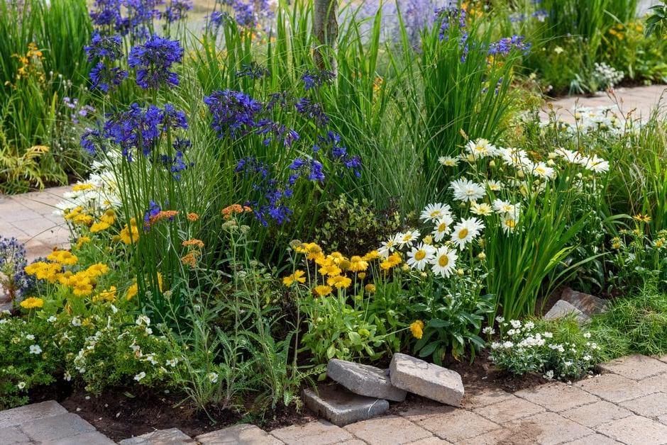 RHS and BBC North West Community Urban Garden