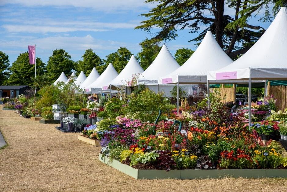 Plant Village at RHS Hampton Court 2022