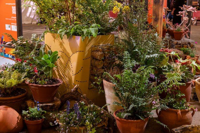 Biodiverse Containers pots and planting