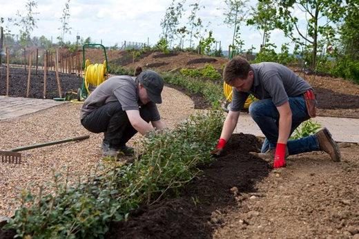 Mulching the new borders