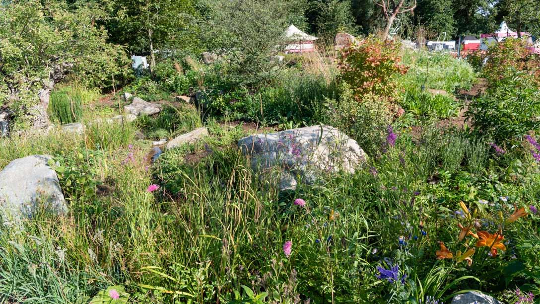 Countryfile’s 30th Anniversary Garden