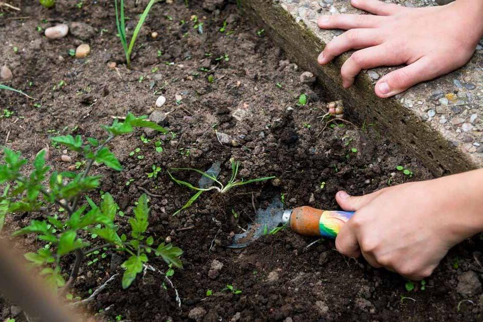 Child digging