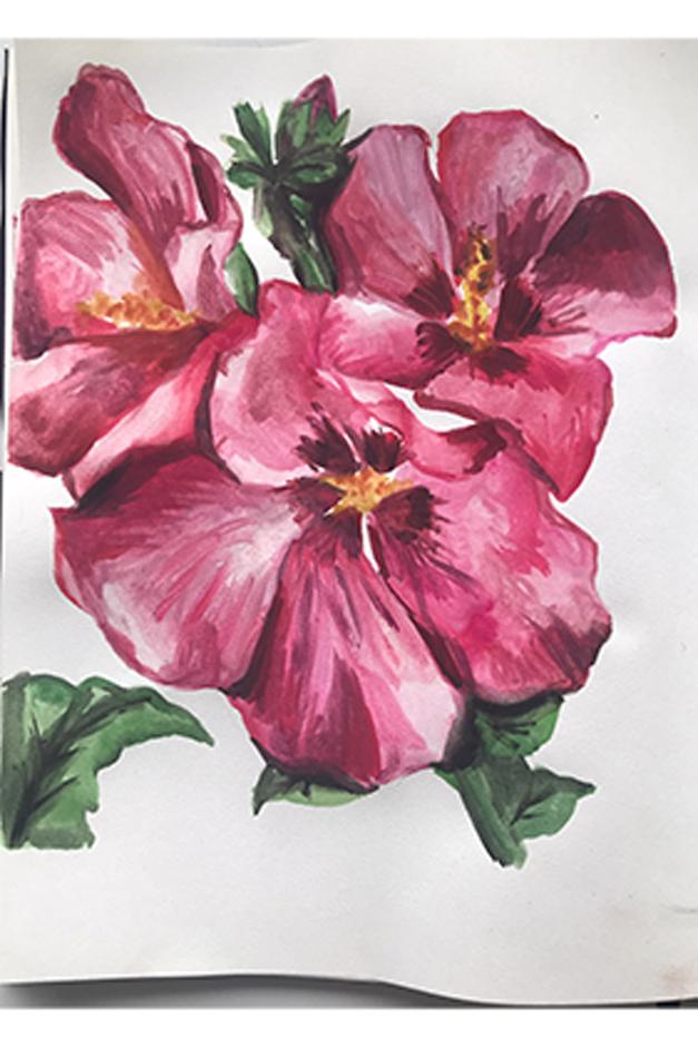 Hibiscus syriacus artwork