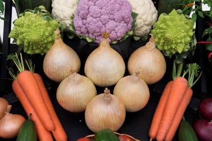 Exhibition vegetables on show bench