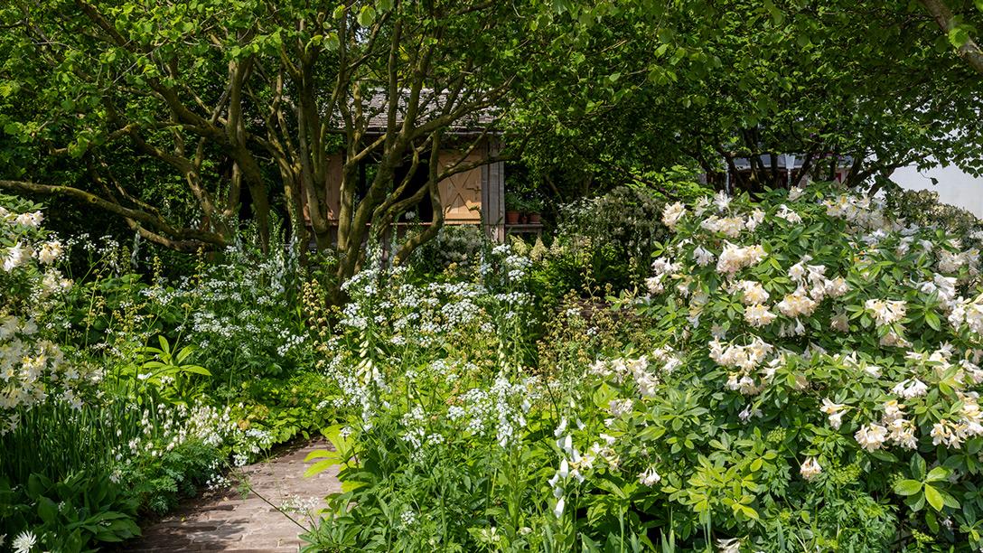 The National Garden Scheme Garden