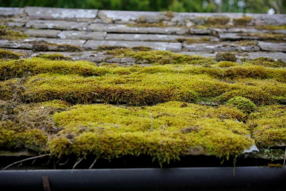 See Kazuyuki Ishihara’s private garden