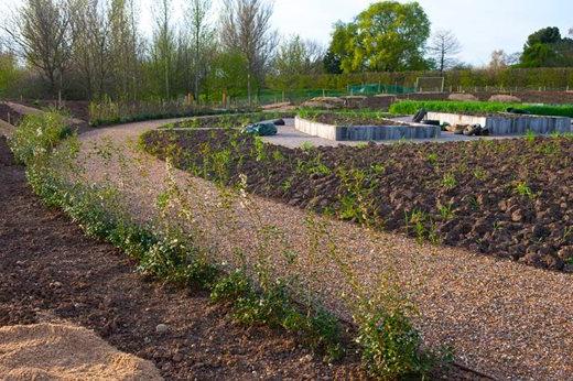 Planted borders following the curved path