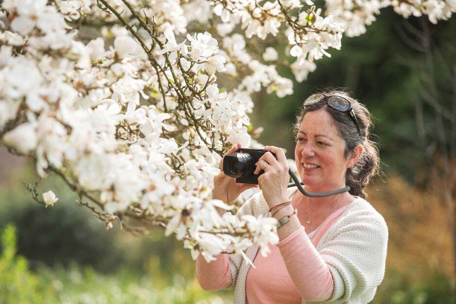 Plant photography