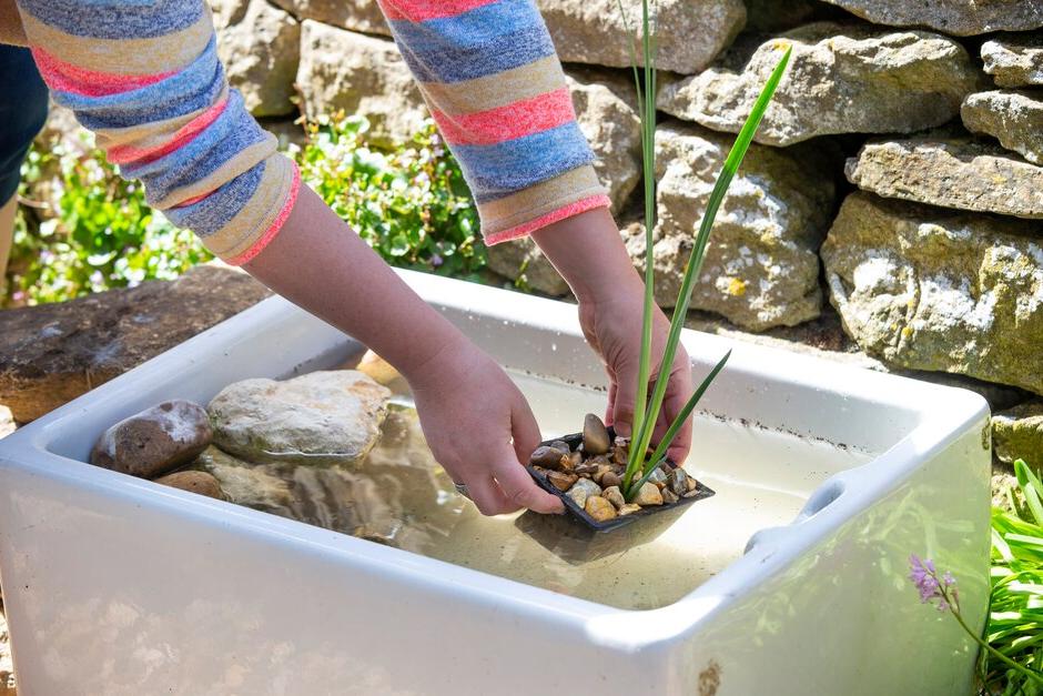 If you've never had a pond before, this mini version is a great starting point