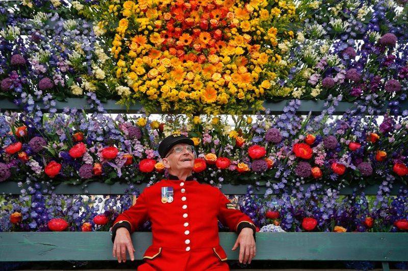 Chelsea pensioner admires display