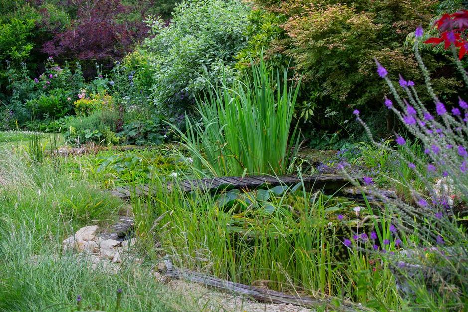 Adding a pond is a great way to bring more wildlife into your garden