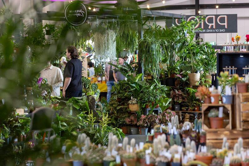 Shoppers buying houseplants