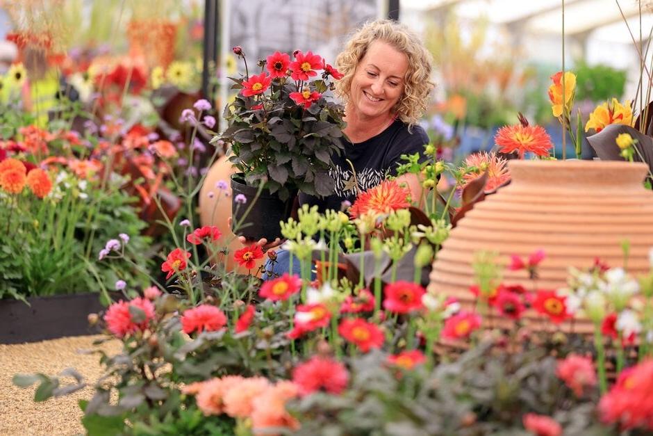 Displays in the Floral Marquee at RHS Hampton Court 2022