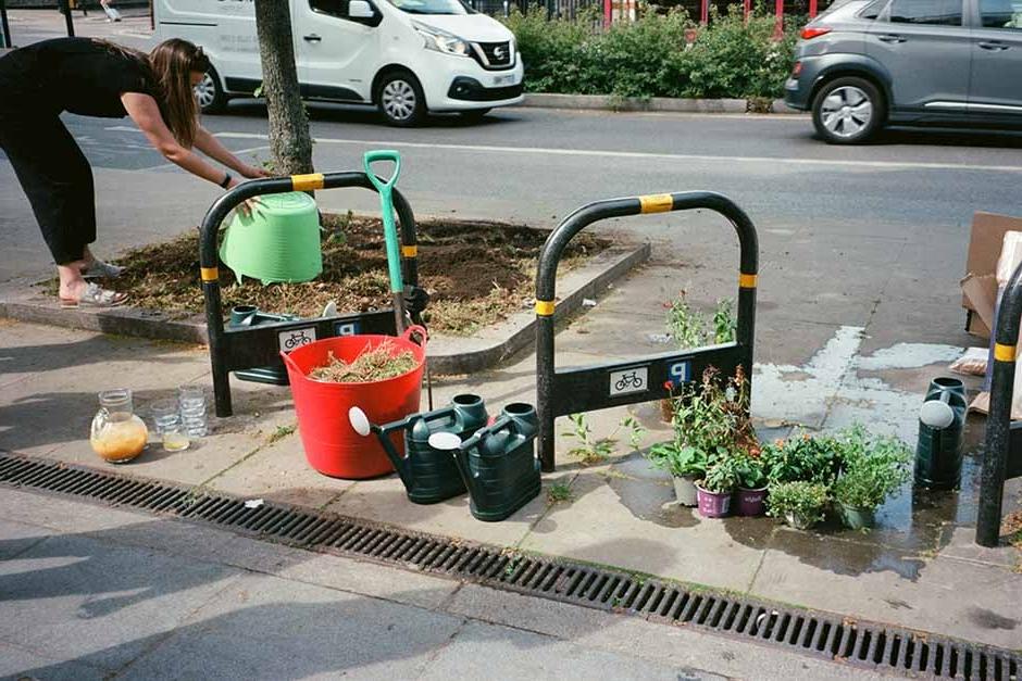 Guerrilla gardening