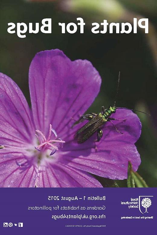 RHS Plants for Bugs - Bulletin 1 (opens in a new window)