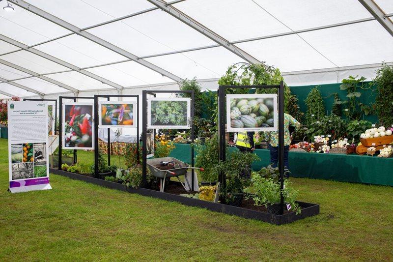 Robinson Seeds & Plants display