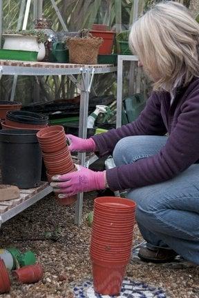 Pot cleaning