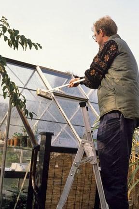 Greenhouse cleaning