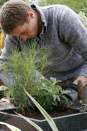 You can grow a wide range of plants in containers. Image: Neil Hepworth/RHS