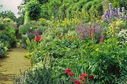 Benington Lordship herbaceous border