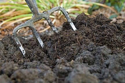 Adding mushroom compost to garden borders at RHS Wisley. Image: Tim Sandall/RHS