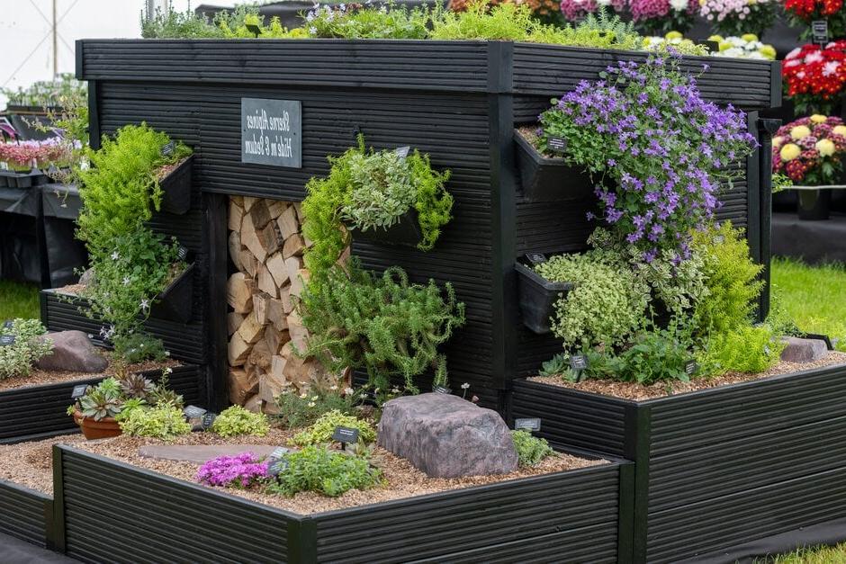 Skerne Alpines Hide'm & Sedum at RHS Malvern Spring