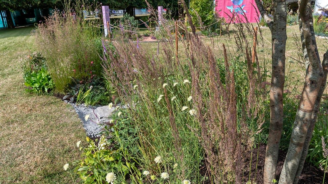 The Ripple Effect Raingarden