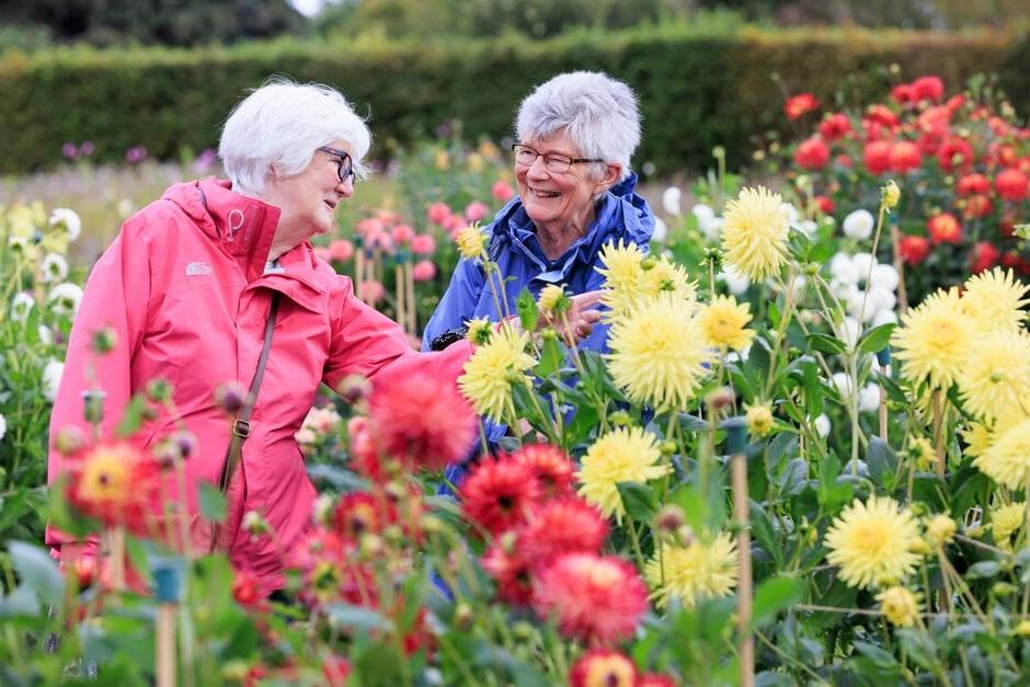 Group visits for RHS Affiliated Societies