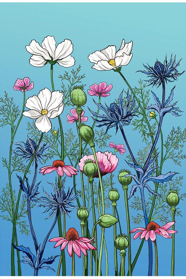 Echinacea, poppy, cosmos and sea holly artwork