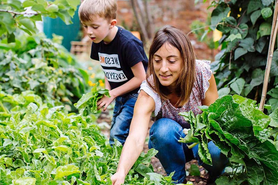 Advance the understanding of plants, gardens and gardening to adapt and mitigate against climate change and improve our environment. Better understand their role in improving social, physical and mental wellbeing.