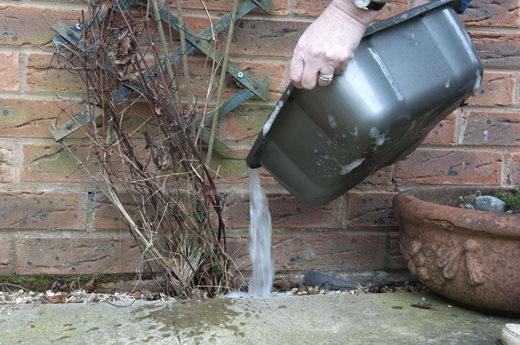 Using grey water