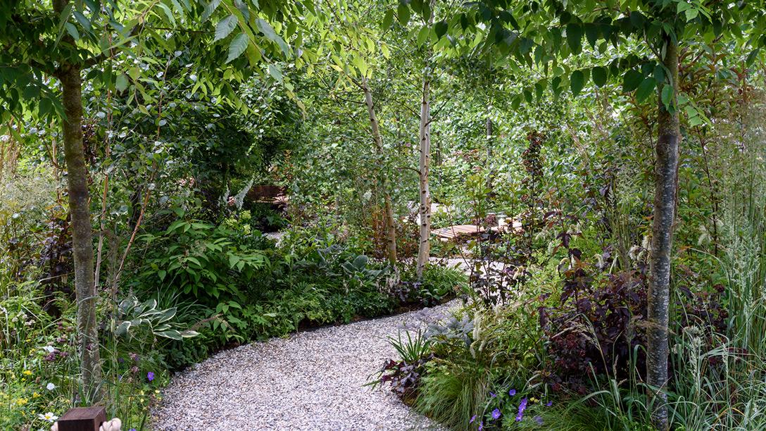 RHS Forest Bathing Garden