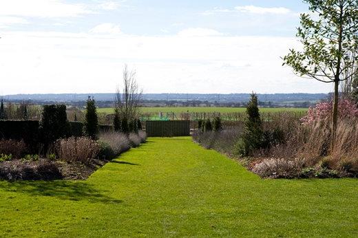 View across the garden borders