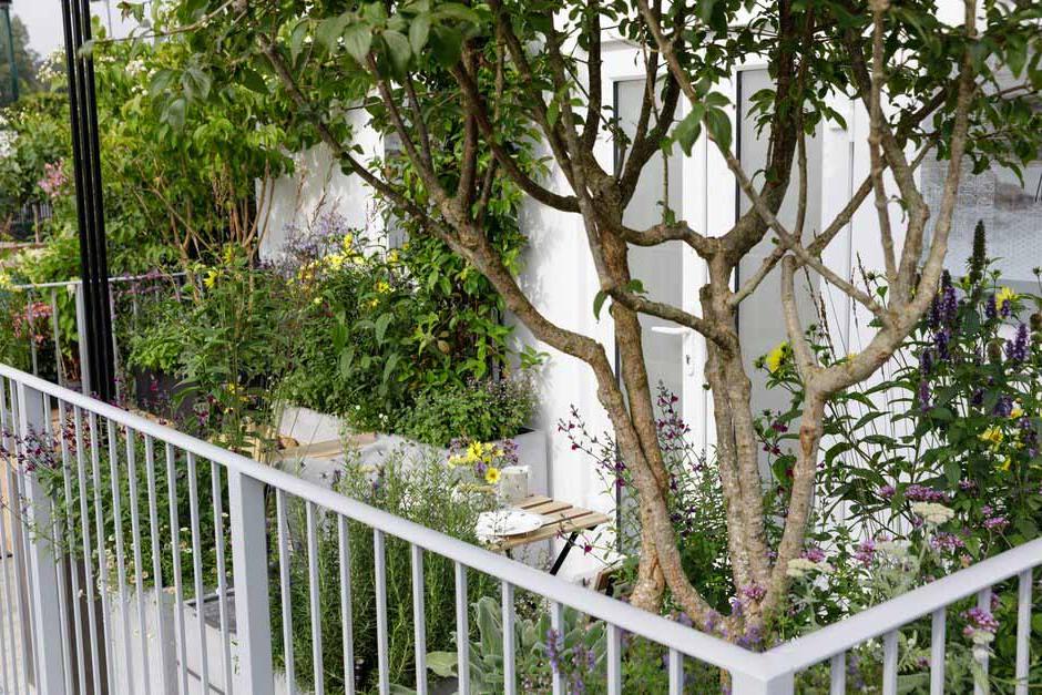 RHS guide to roof gardens and balconies